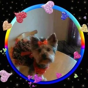 Meet your Posher, Connie